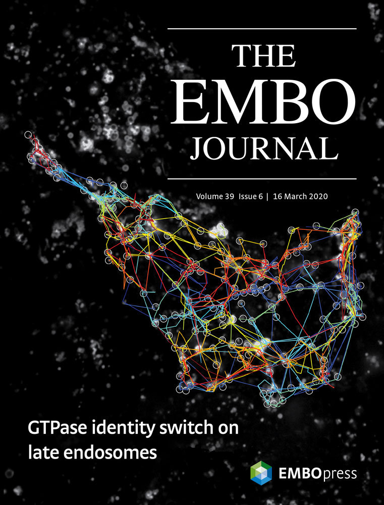The EMBO Journal Cover March 16 2020